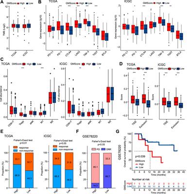 Glutamine Metabolism Scoring Predicts Prognosis and Therapeutic Resistance in Hepatocellular Carcinoma